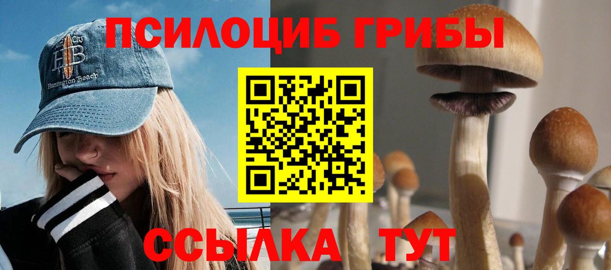 Псилоцибиновые грибы ЛСД  Галлюциногенные грибы MAGIC MUSHROOMS  Вход с VPN  цены наркотик  Сорочинск 
