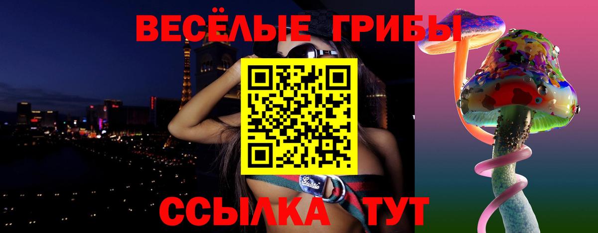 Псилоцибиновые грибы мицелий Сорочинск